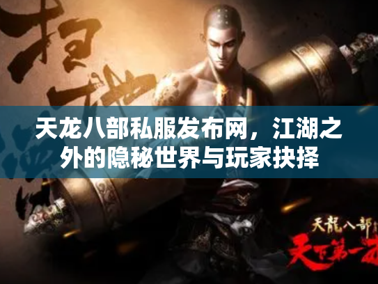 天龙八部私服发布网，江湖之外的隐秘世界与玩家抉择