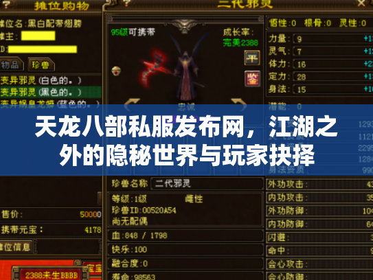 天龙八部私服发布网，江湖之外的隐秘世界与玩家抉择