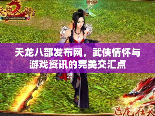 天龙八部发布网，武侠情怀与游戏资讯的完美交汇点