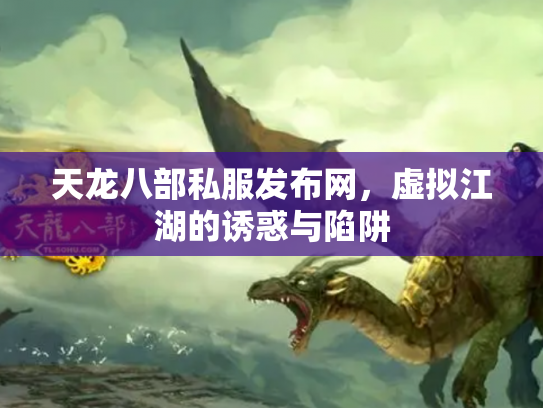 天龙八部私服发布网，虚拟江湖的诱惑与陷阱