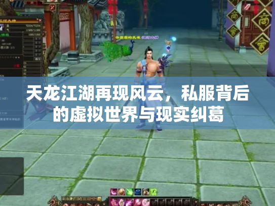 天龙江湖再现风云，私服背后的虚拟世界与现实纠葛
