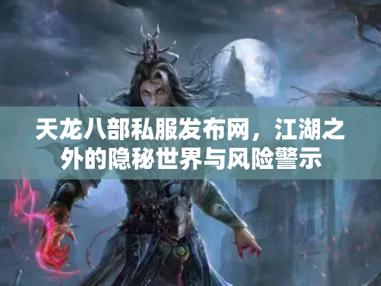 天龙八部私服发布网，江湖之外的隐秘世界与风险警示
