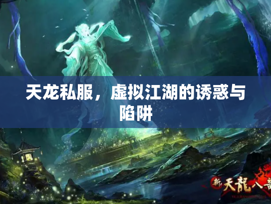 天龙私服，虚拟江湖的诱惑与陷阱