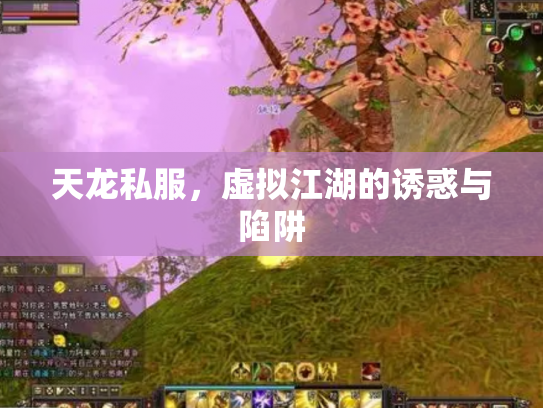天龙私服，虚拟江湖的诱惑与陷阱