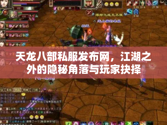 天龙八部私服发布网，江湖之外的隐秘角落与玩家抉择