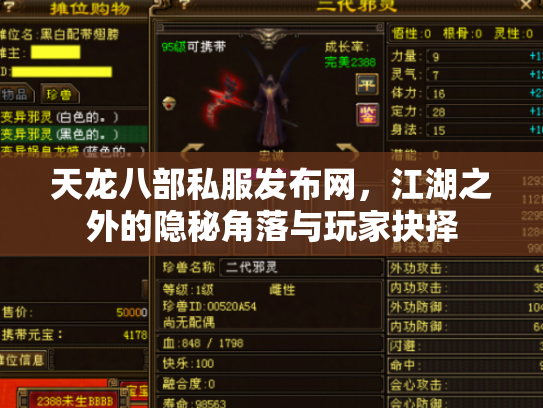 天龙八部私服发布网，江湖之外的隐秘角落与玩家抉择