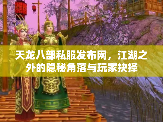 天龙八部私服发布网，江湖之外的隐秘角落与玩家抉择