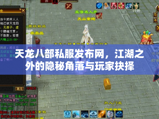 天龙八部私服发布网，江湖之外的隐秘角落与玩家抉择