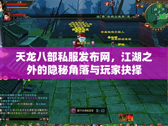 天龙八部私服发布网，江湖之外的隐秘角落与玩家抉择