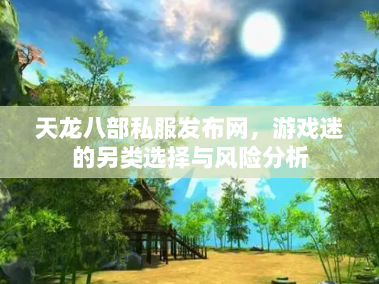 天龙八部私服发布网，游戏迷的另类选择与风险分析