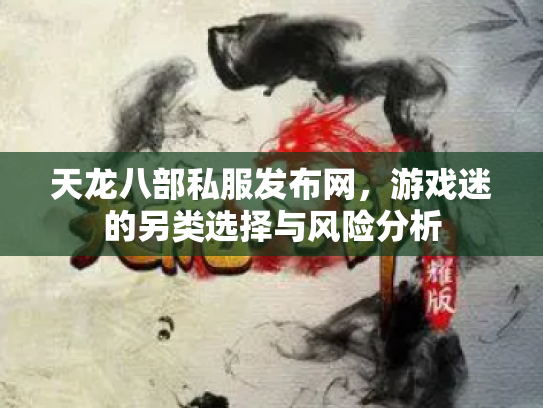 天龙八部私服发布网，游戏迷的另类选择与风险分析