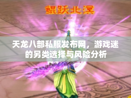 天龙八部私服发布网，游戏迷的另类选择与风险分析