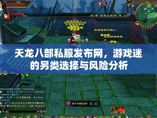 天龙八部私服发布网，游戏迷的另类选择与风险分析