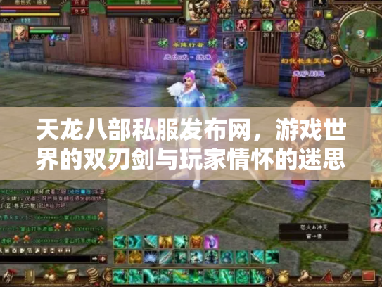 天龙八部私服发布网，游戏世界的双刃剑与玩家情怀的迷思