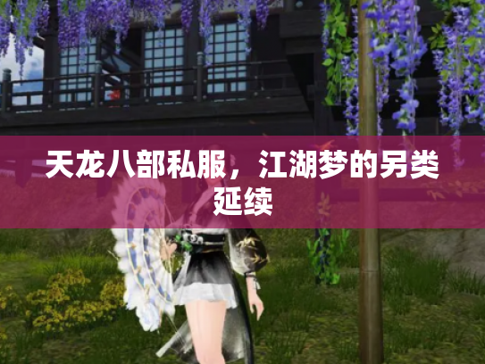天龙八部私服，江湖梦的另类延续