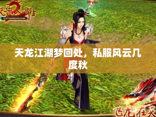 天龙江湖梦回处，私服风云几度秋