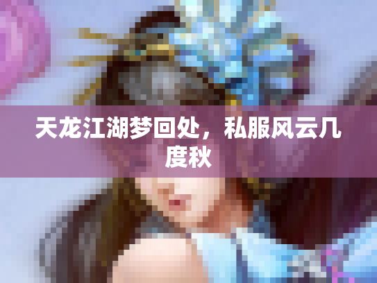 天龙江湖梦回处，私服风云几度秋