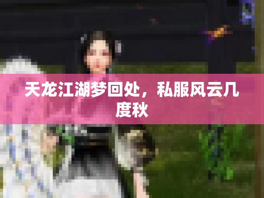 天龙江湖梦回处，私服风云几度秋