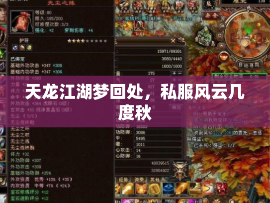天龙江湖梦回处，私服风云几度秋