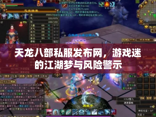 天龙八部私服发布网，游戏迷的江湖梦与风险警示