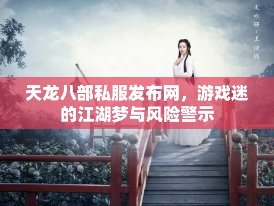 天龙八部私服发布网，游戏迷的江湖梦与风险警示