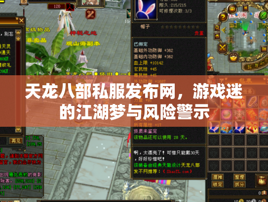 天龙八部私服发布网，游戏迷的江湖梦与风险警示