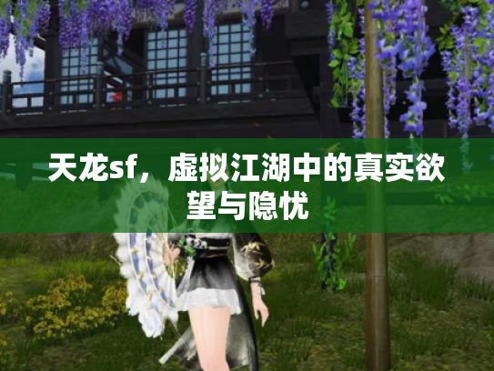 天龙sf，虚拟江湖中的真实欲望与隐忧