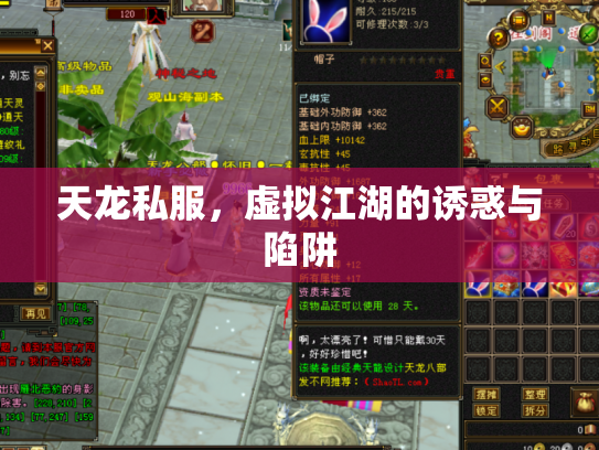 天龙私服，虚拟江湖的诱惑与陷阱