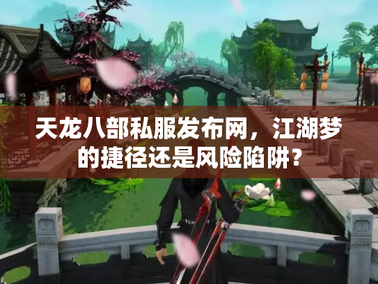 天龙八部私服发布网，江湖梦的捷径还是风险陷阱？