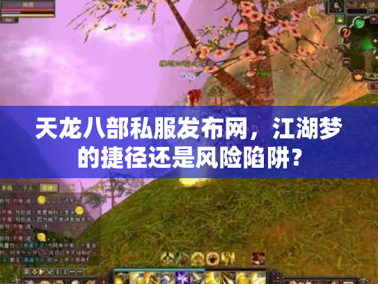 天龙八部私服发布网，江湖梦的捷径还是风险陷阱？