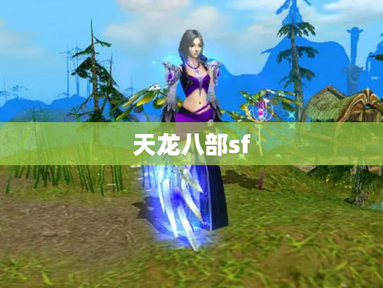 天龙八部sf