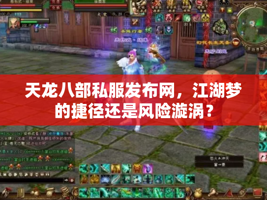 天龙八部私服发布网，江湖梦的捷径还是风险漩涡？