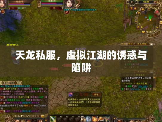 天龙私服，虚拟江湖的诱惑与陷阱