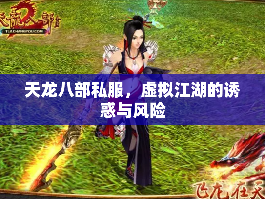 天龙八部私服，虚拟江湖的诱惑与风险