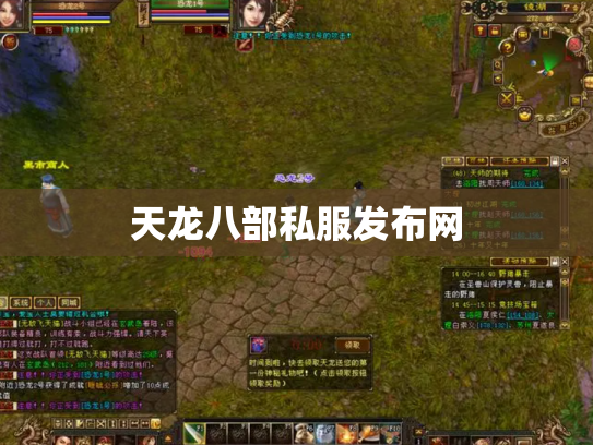 天龙八部私服发布网