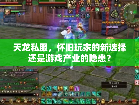 天龙私服，怀旧玩家的新选择还是游戏产业的隐患？