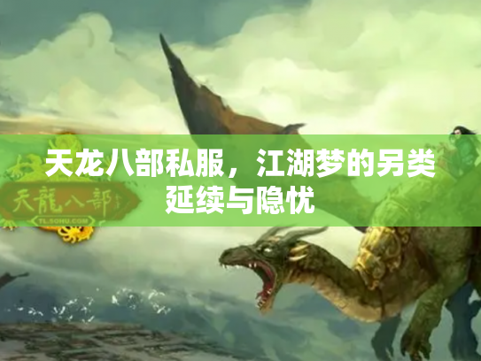 天龙八部私服，江湖梦的另类延续与隐忧