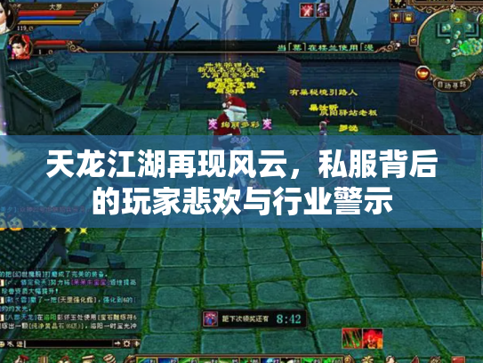 天龙江湖再现风云，私服背后的玩家悲欢与行业警示