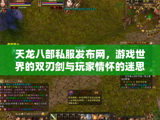 天龙八部私服发布网，游戏世界的双刃剑与玩家情怀的迷思