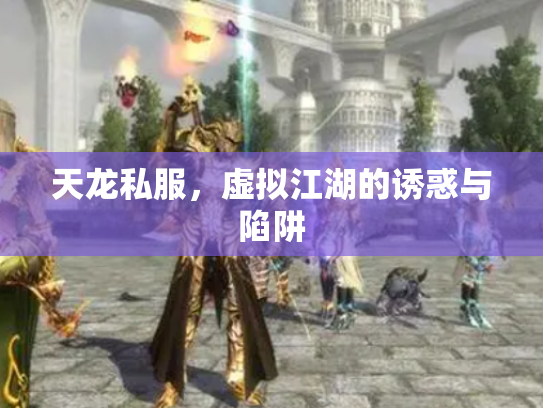 天龙私服，虚拟江湖的诱惑与陷阱
