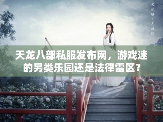天龙八部私服发布网，游戏迷的另类乐园还是法律雷区？