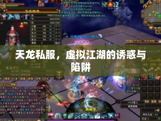 天龙私服，虚拟江湖的诱惑与陷阱