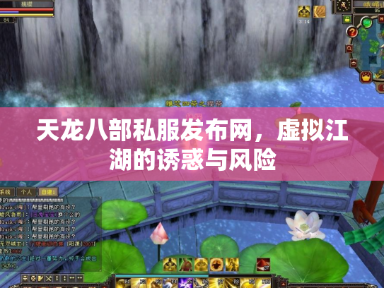 天龙八部私服发布网，虚拟江湖的诱惑与风险