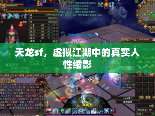 天龙sf，虚拟江湖中的真实人性缩影