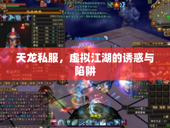 天龙私服，虚拟江湖的诱惑与陷阱