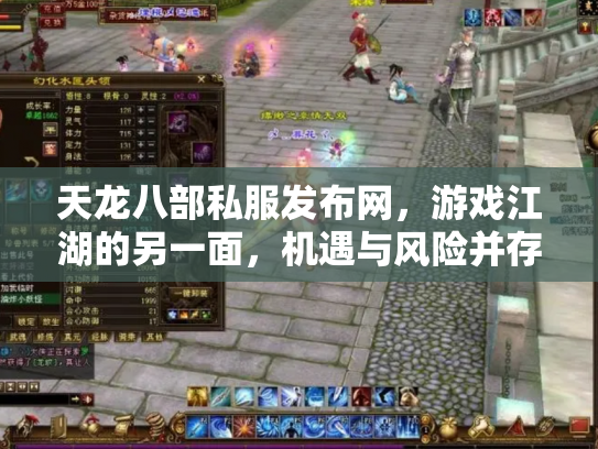 天龙八部私服发布网，游戏江湖的另一面，机遇与风险并存