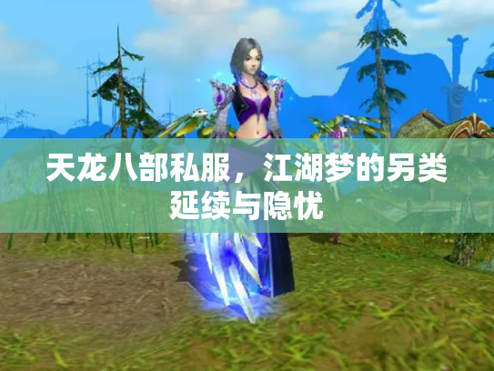 天龙八部私服，江湖梦的另类延续与隐忧