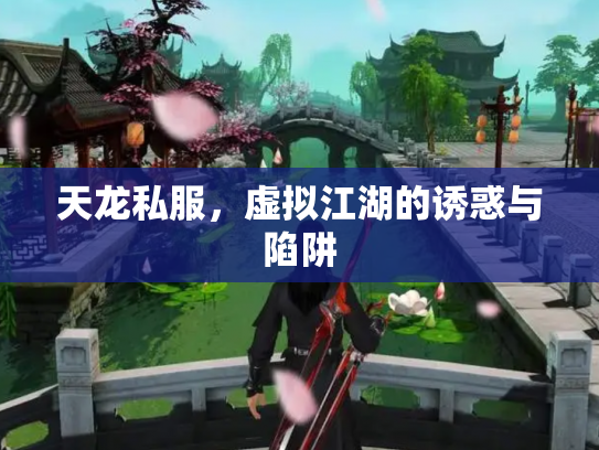 天龙私服，虚拟江湖的诱惑与陷阱