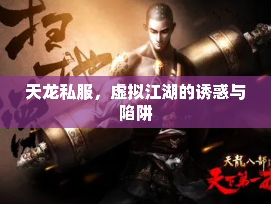 天龙私服，虚拟江湖的诱惑与陷阱