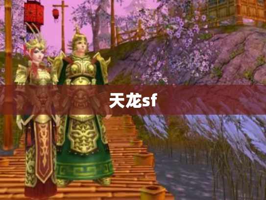 天龙sf